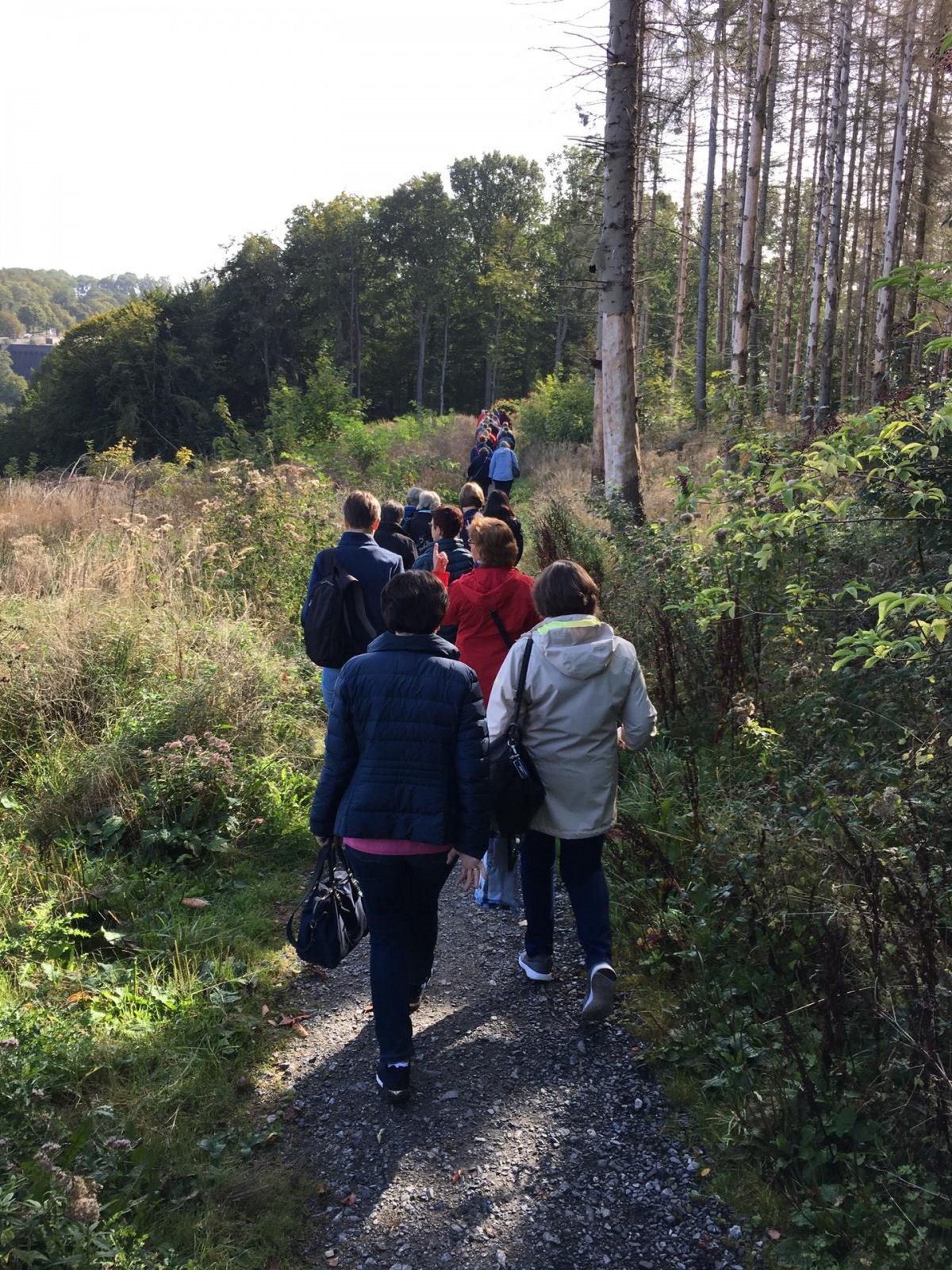 PS-Tag_2019_25