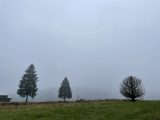 Nebelstimmung-3-scaled